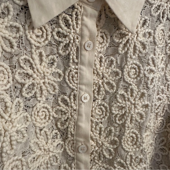 Zara Embroidered Lace Cropped Blouse - Picture 6 of 11